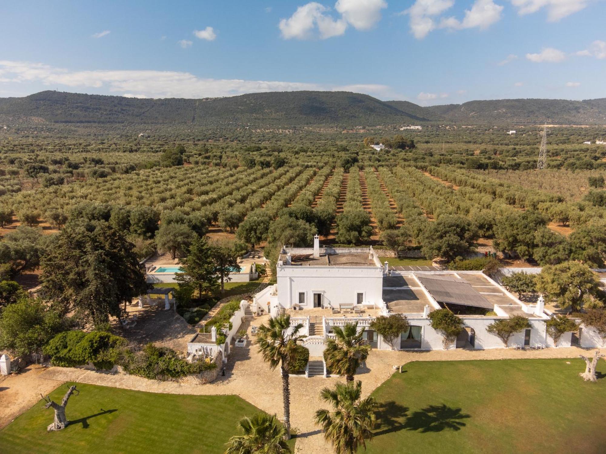 Masseria Eccellenza Pezze Di Greco Ngoại thất bức ảnh